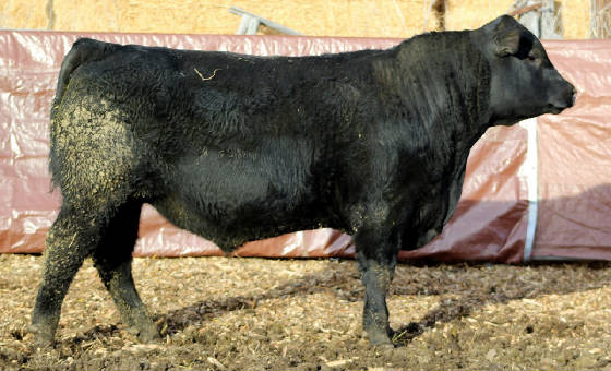 B39LOT17.jpg