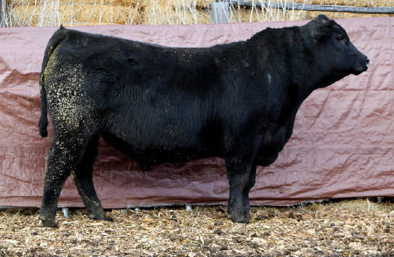 B58LOT25.jpg
